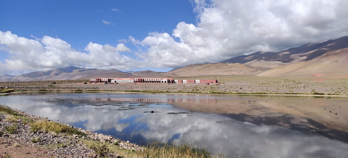 /posts/012---viaje-a-catamarca/cortaderas.jpg