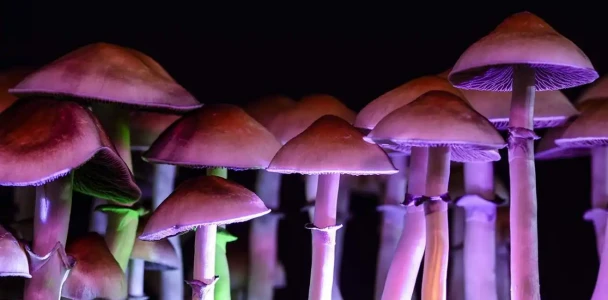 ... /posts/107---filosofia-barata-004/featured-imaged.webp