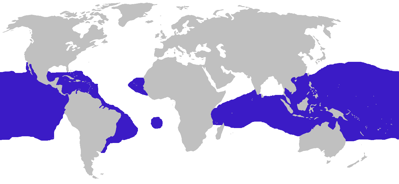 Mapa de la distribución geográfica del ave