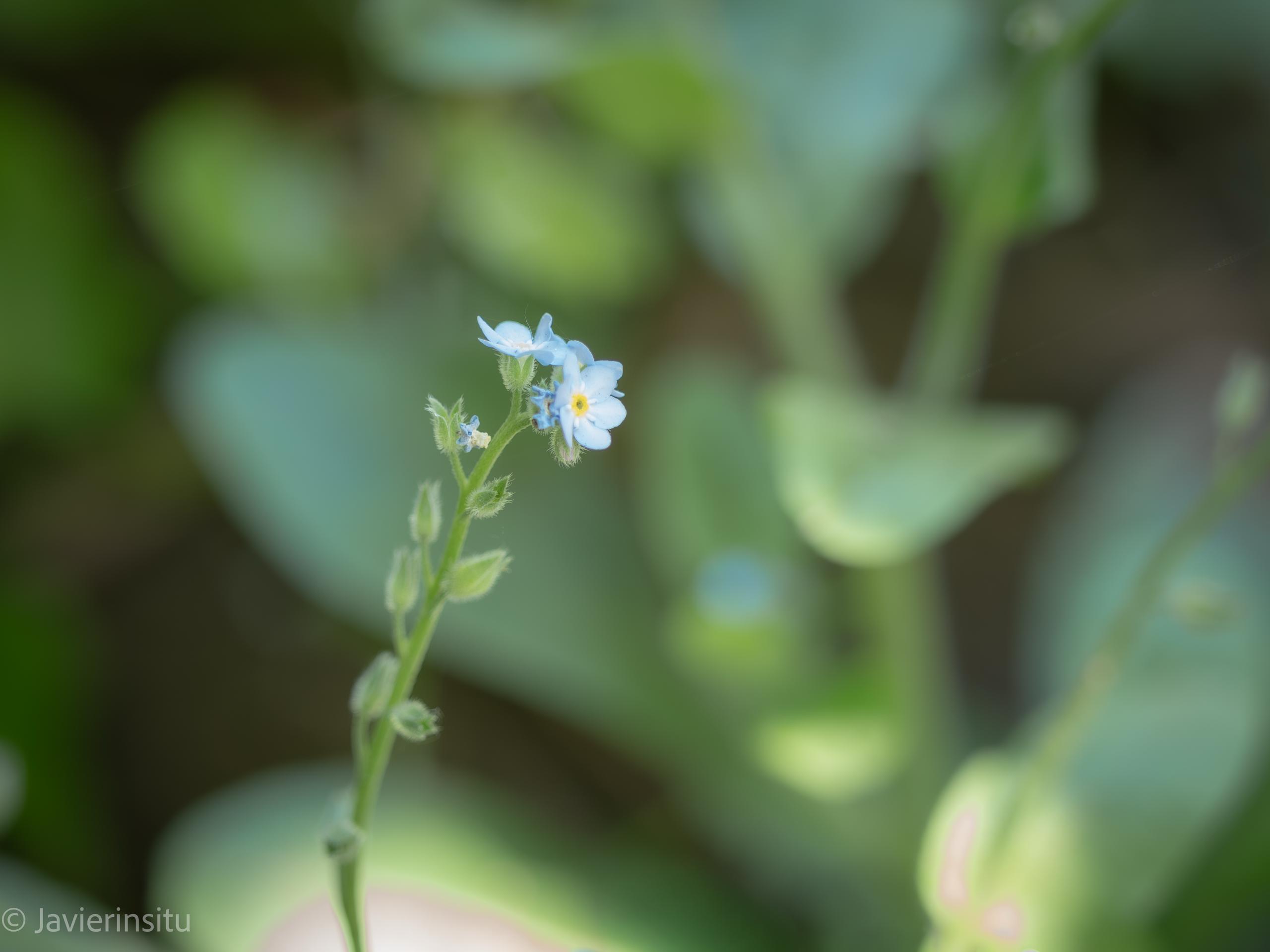 Fotos de la OM3 Otra