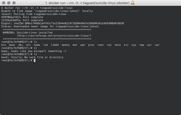 Terminal ejecutando Suicide LInux